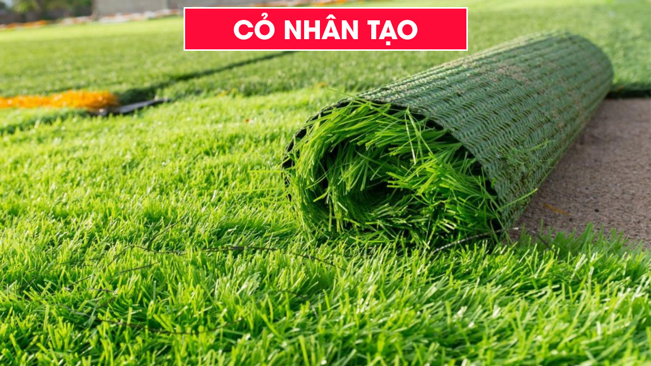 Cỏ nhân tạo chất lượng