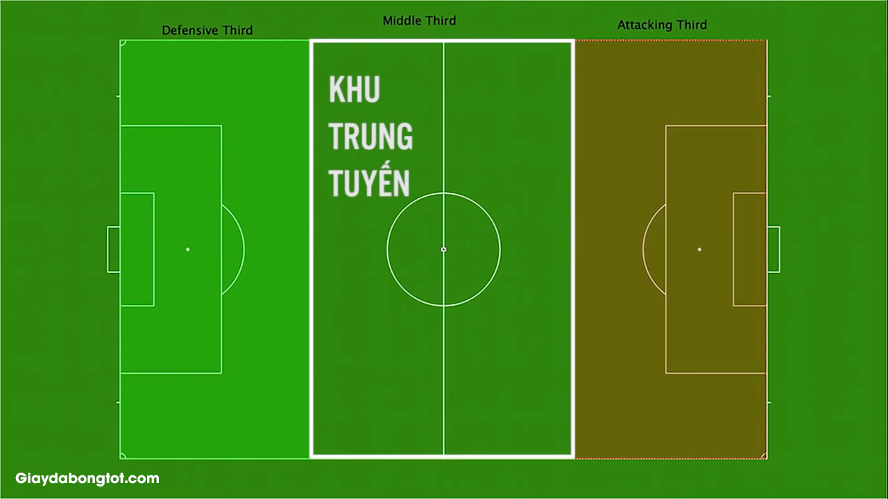 Vị trí tiền vệ trong bóng đá